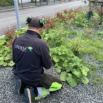 En person knäböjer och arbetar i ett grönt landskap.